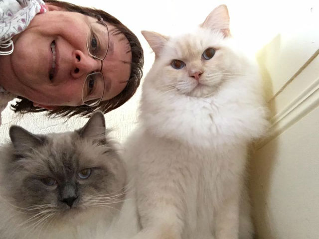 selfies ragdolls Ulyssiade Miyazaki Lucky