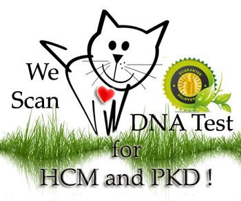 Test Pkd HCM