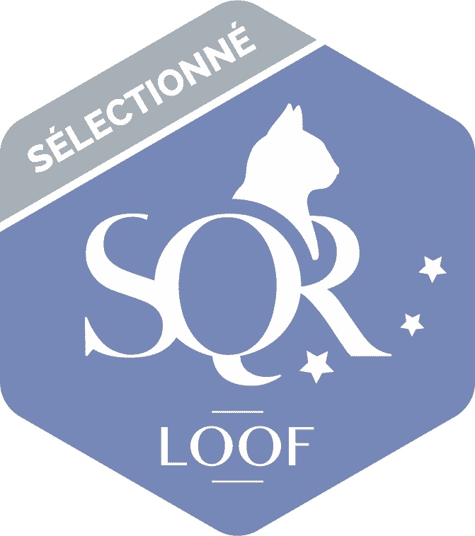 SQR Sélectionné
