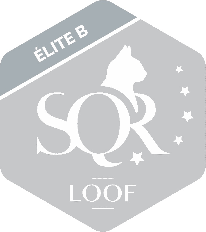 SQR Elite b